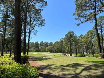 277980420 1070029333867858 4983004532707266982 n