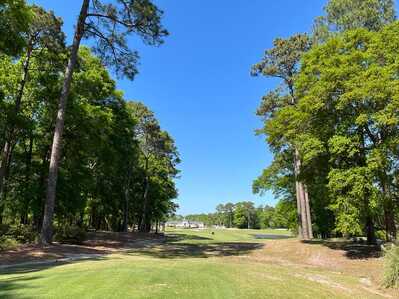 278286350 520616539650439 3171272922868876467 n