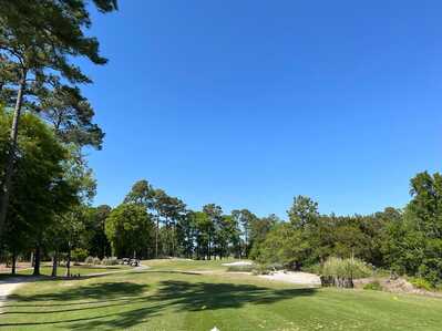 278743079 719830452506400 8175678082589828456 n