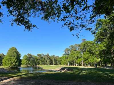 278836894 332025242252537 7261471466963194978 n