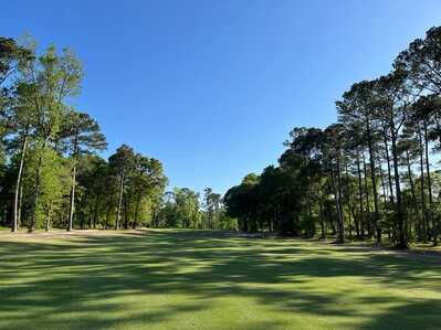 278789655 974166330127128 6898925267626885442 n