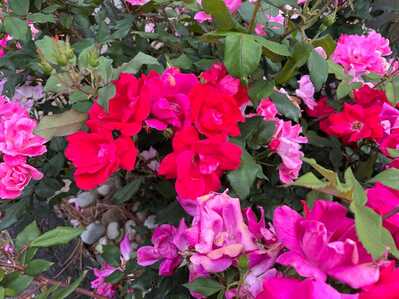 279099461 282068730693352 5321802159541572517 n