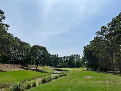 279234228 525774892385019 2141102354864332874 n