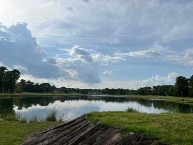 279306731 552376246305928 3099530314652121694 n