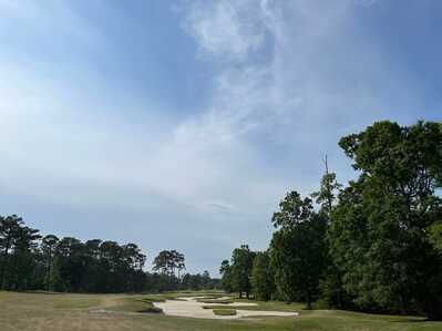 279156010 1178011116305822 1415650551154227270 n