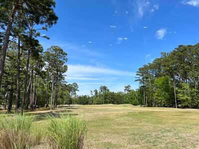 279517067 571807137498655 1910192773697376789 n