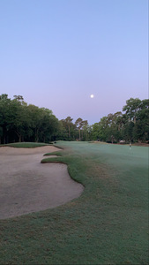 EE078ACE 1C48 4046 B859 49CCEFEEB3E4