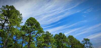 aviary image 1619217589961