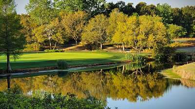 aviary image 1619044625423