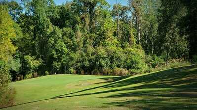 aviary image 1601510384985