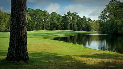 aviary image 1601679050734