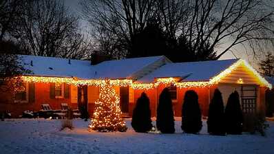 aviary image 1576796818278