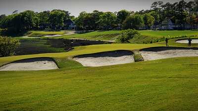 aviary image 1650503036260 aviary image 1650503036260