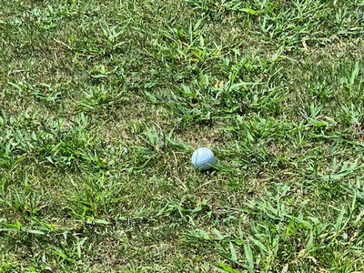 IMG 1751